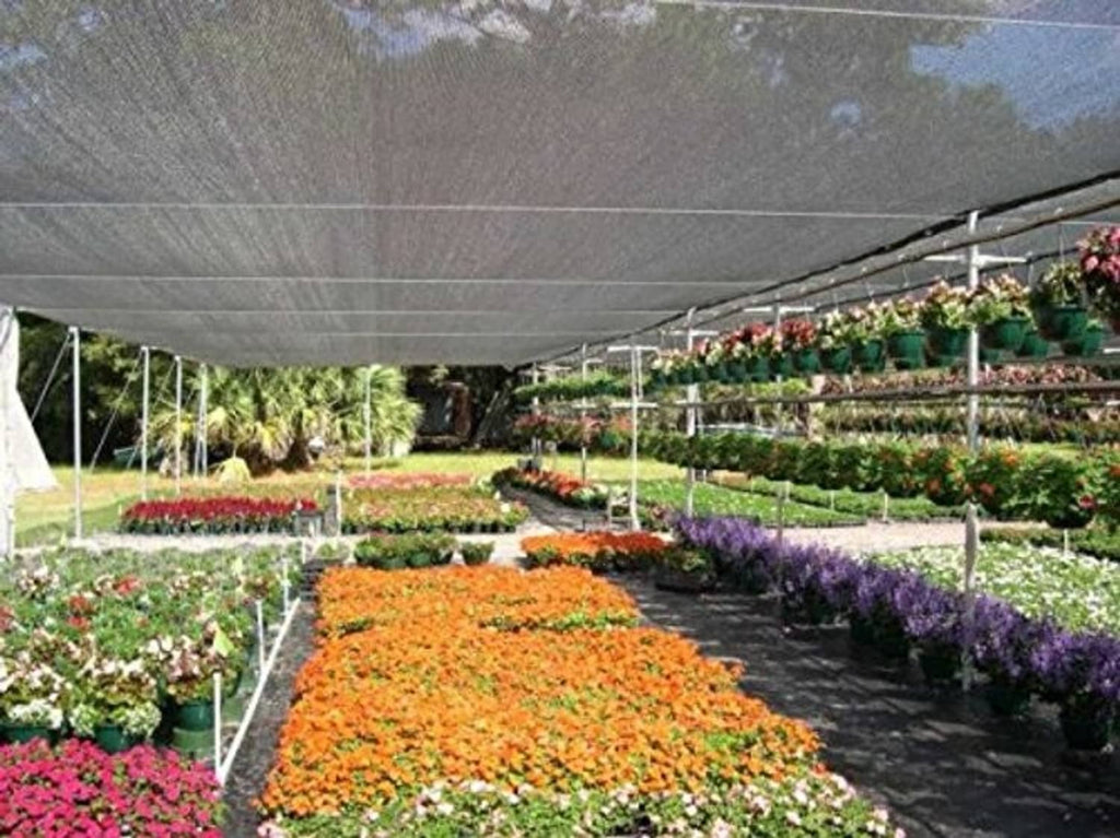 Black mesh shade cloth cover over garden rows in a greenhouse-like frame
