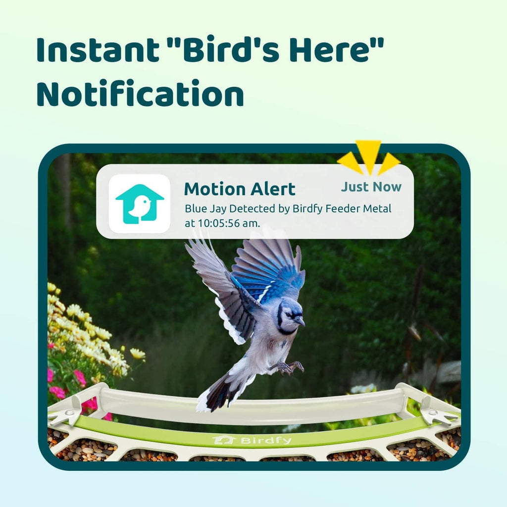 Smart bird feeder on stand with flying bird and notification-style alert card