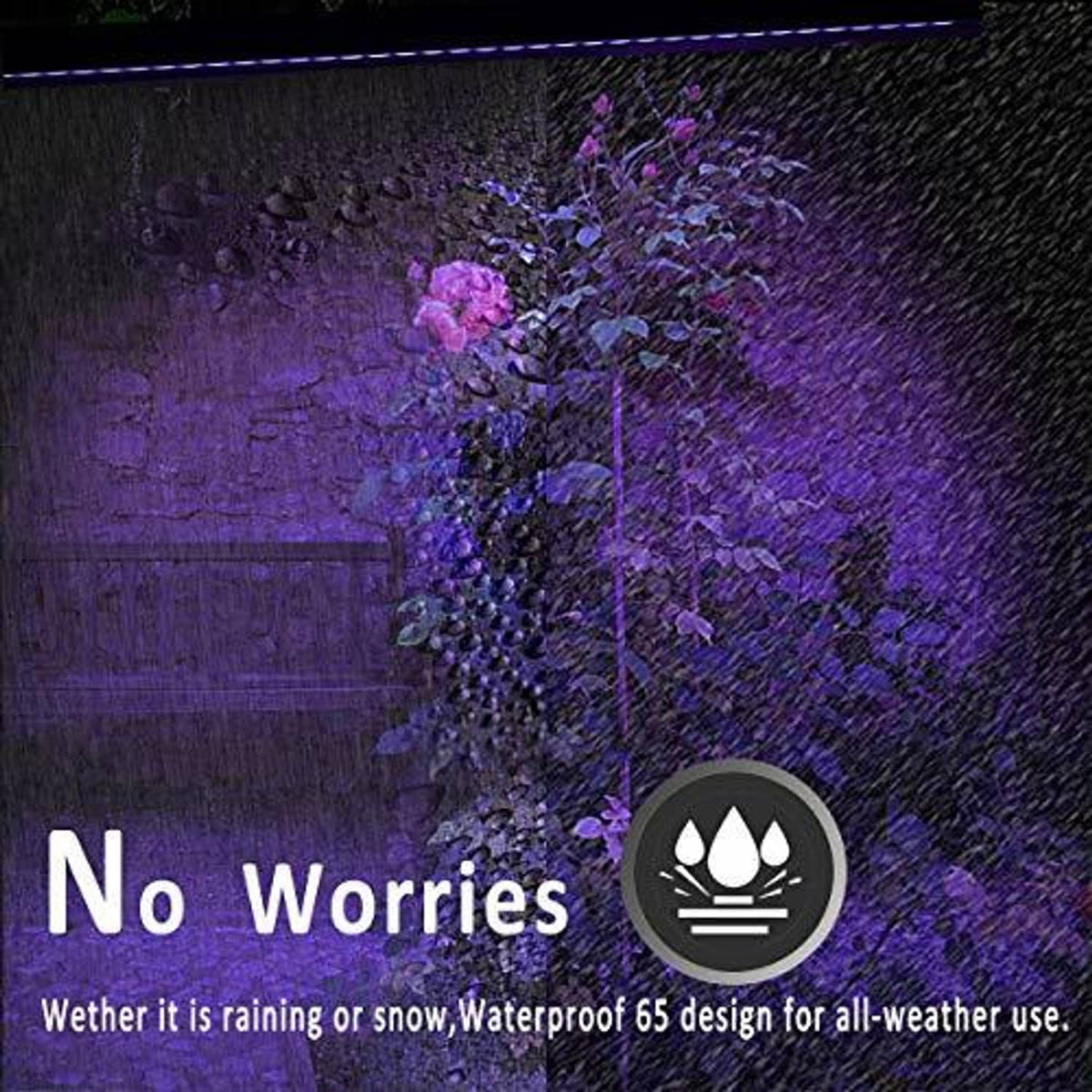 Waterproof LED wall wash beam lighting a textured wall in purple and blue