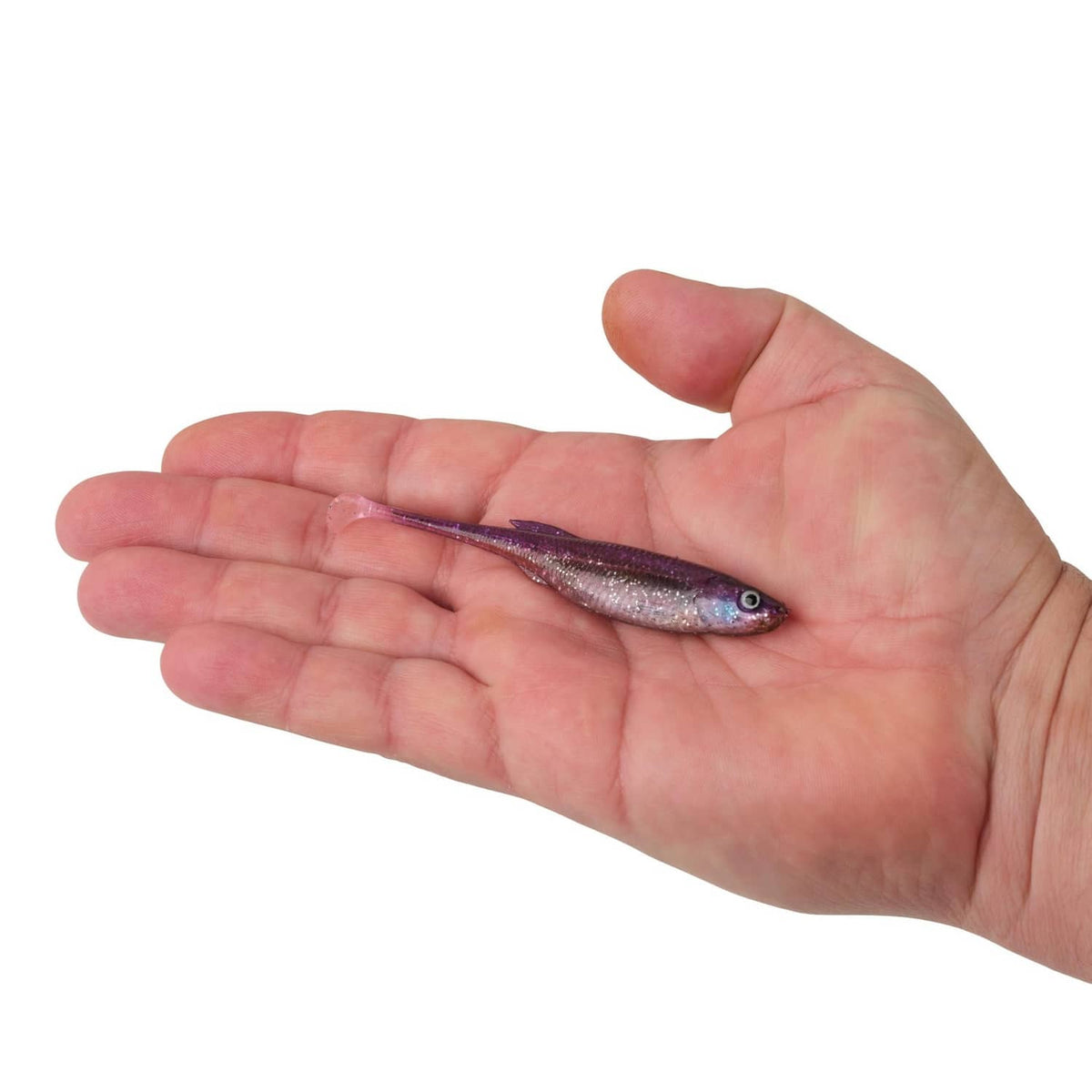 Purple shiner lure in a hand, curved glossy body with blue eye