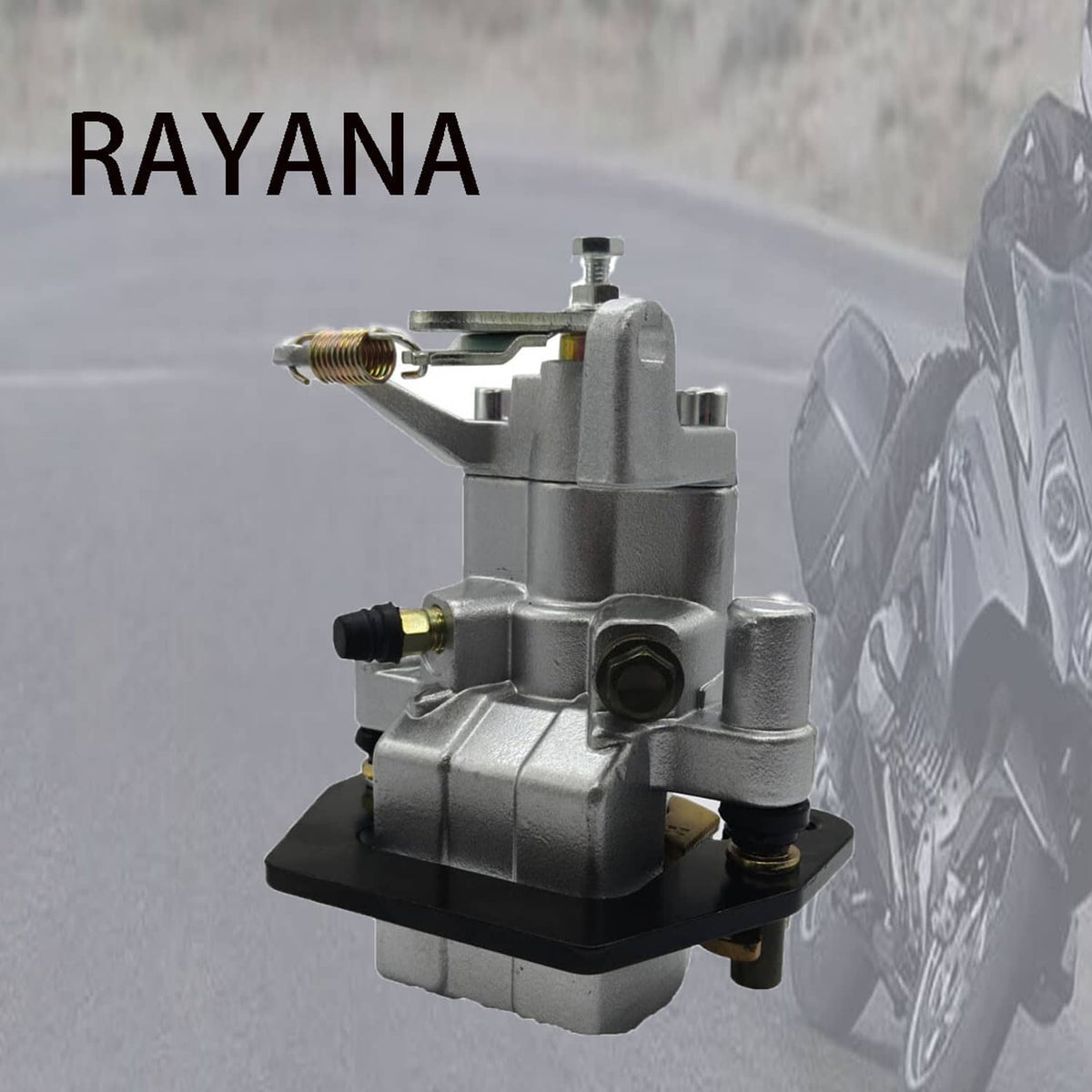 Rear brake caliper assembly with brake line fitting and mounting bracket, side view