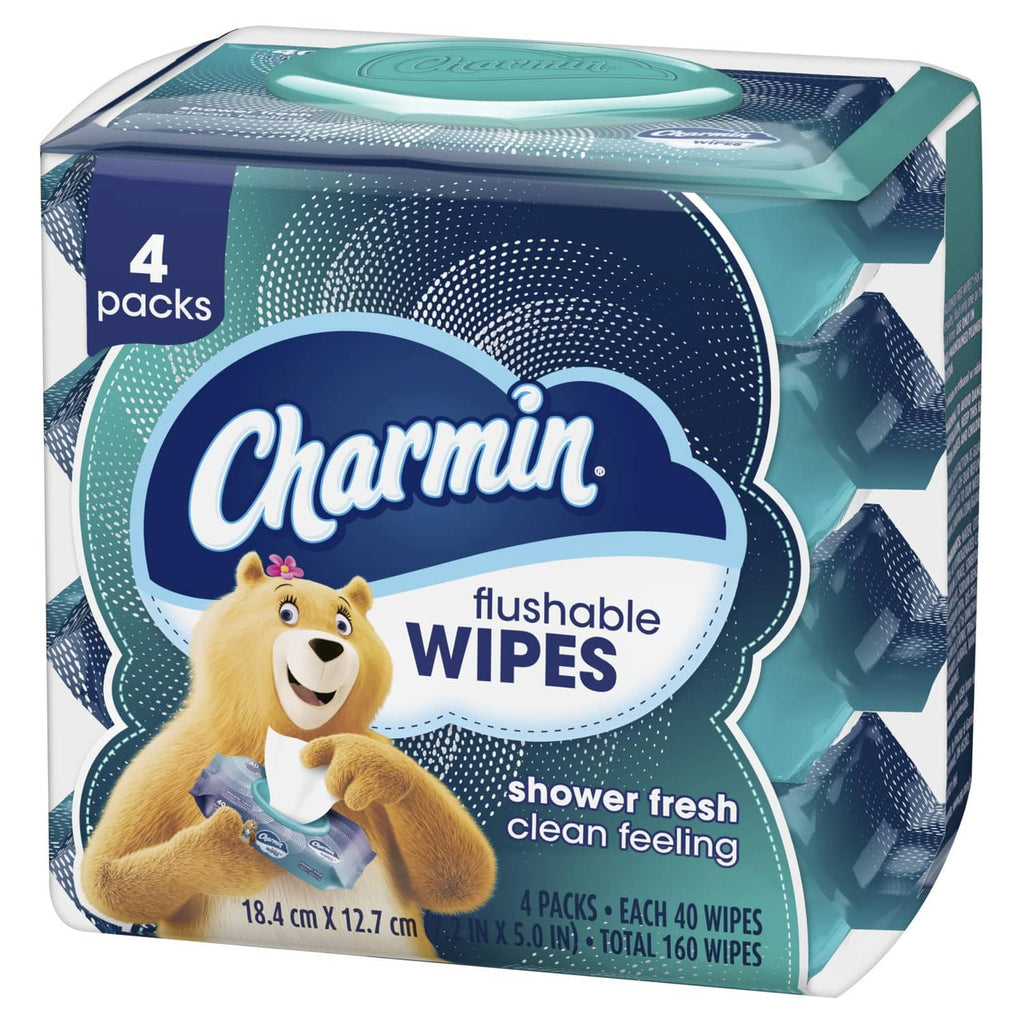 Charmin flushable wipes box, teal and blue packaging in close-up