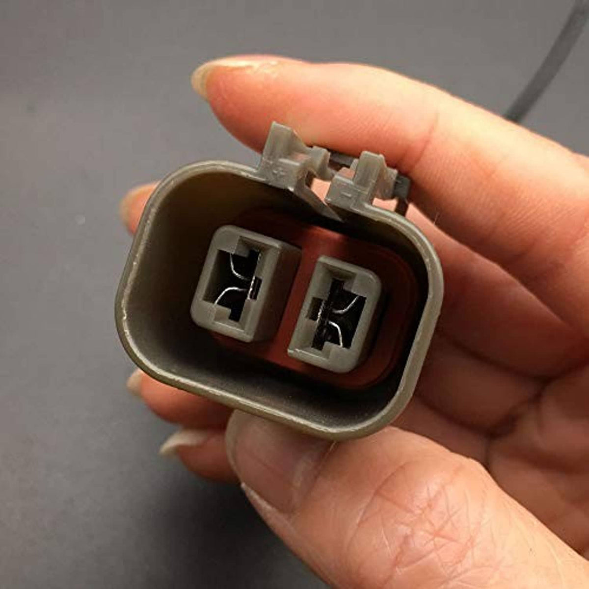 Two-pin connector face with two rectangular terminal slots in dark gray housing