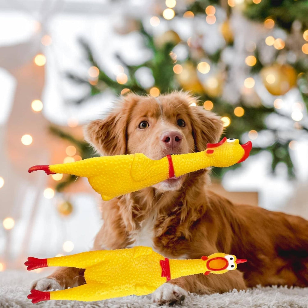 Yellow rubber squeaky chicken toy on a dog’s mouth, red beak and comb