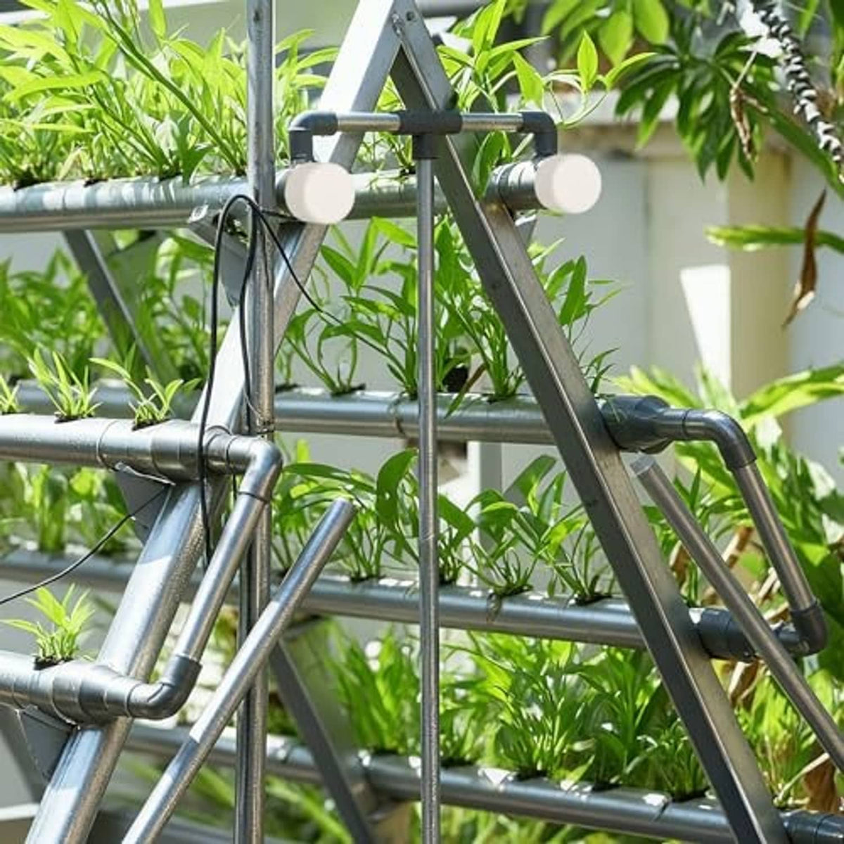 White PVC pipe end caps fitted on pipe ends of a structure outdoors