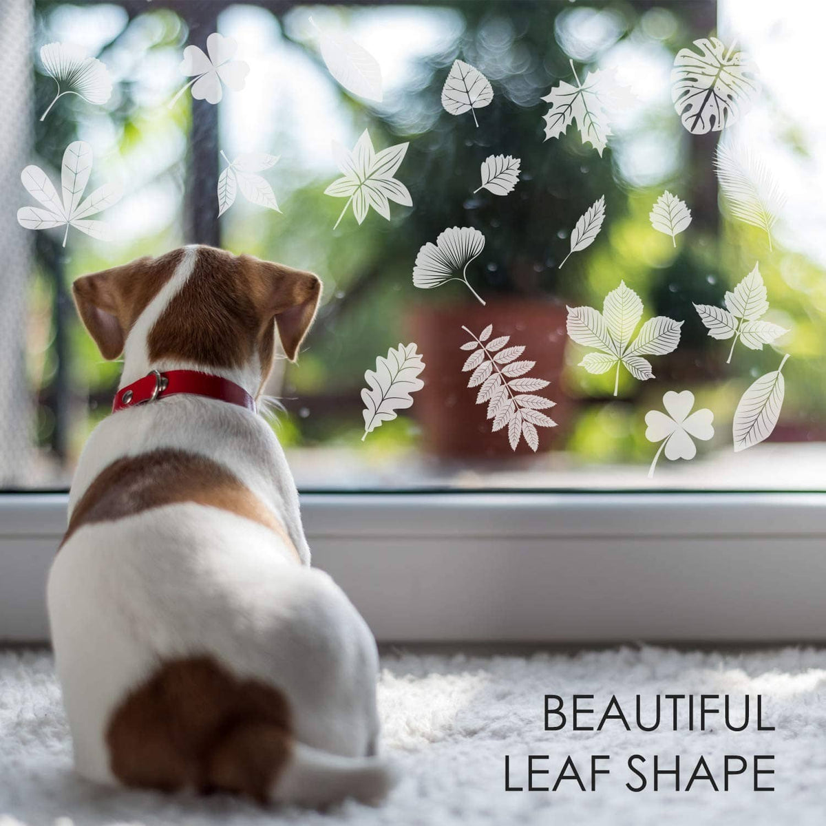 Leaf window cling stickers on glass beside a seated dog, white leaf shapes