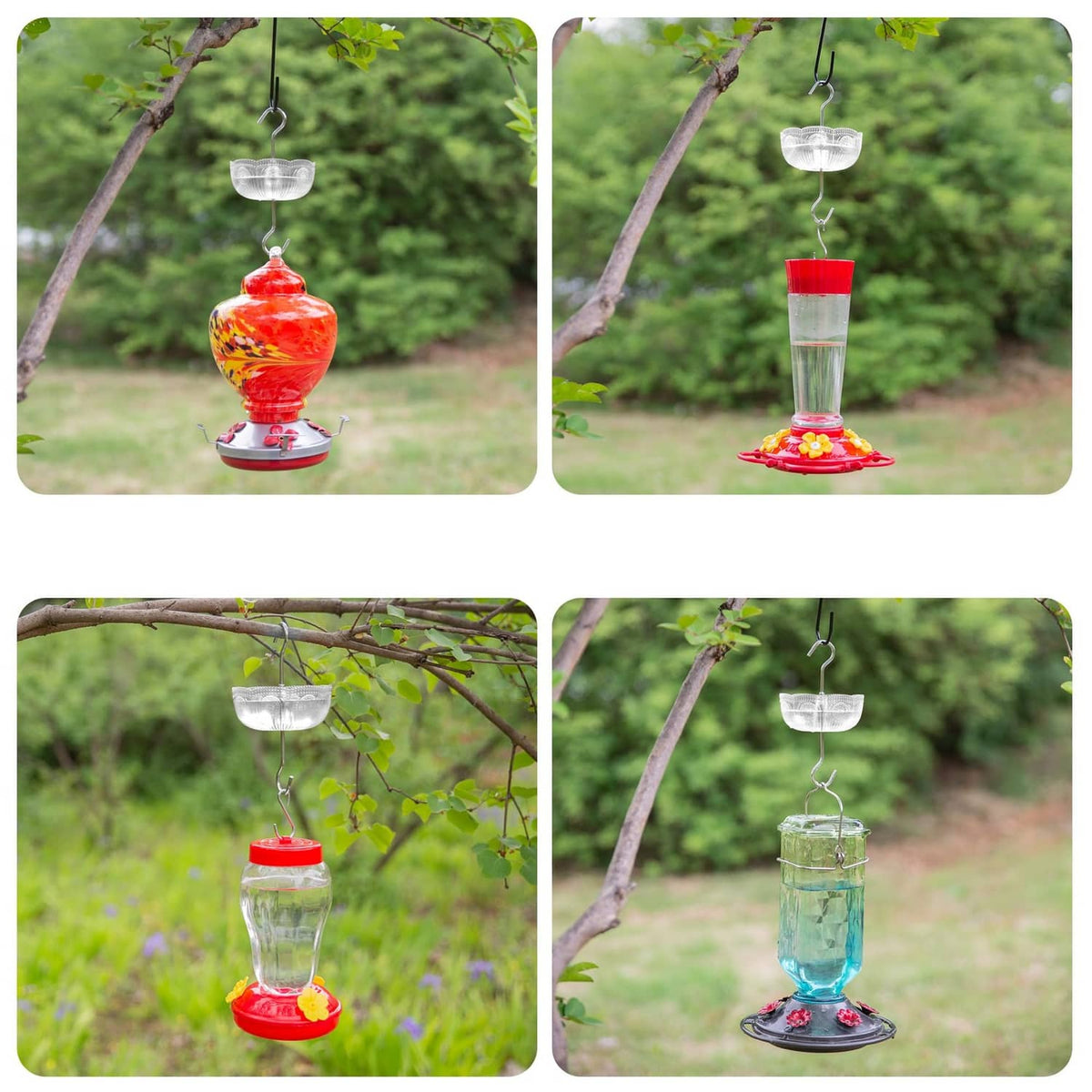 Clear ant moat reservoir hanging on a tree branch with red and green liquid refills