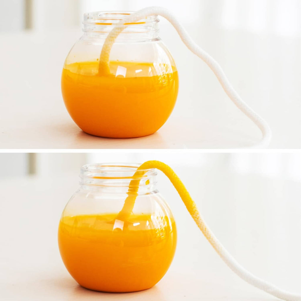 Self-watering wick cord feeding orange liquid from a glass bulb reservoir