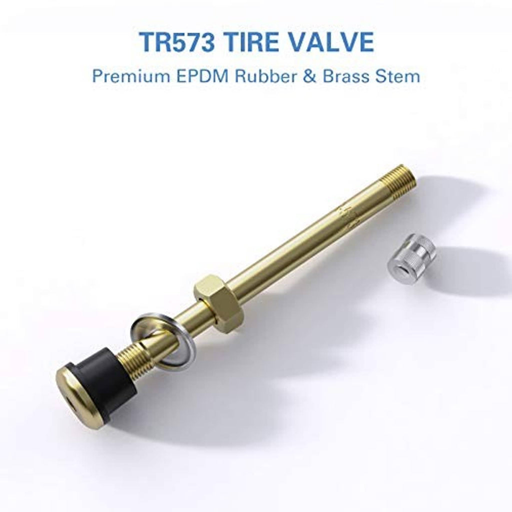 Brass tire valve stem with black rubber grommet and silver threaded cap
