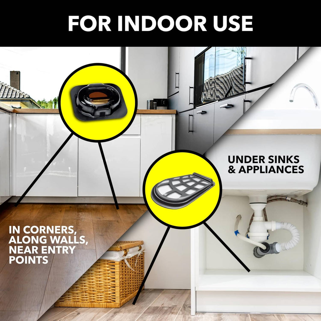 Raid roach bait shown for indoor use, targeting corners, along edges, and entry points