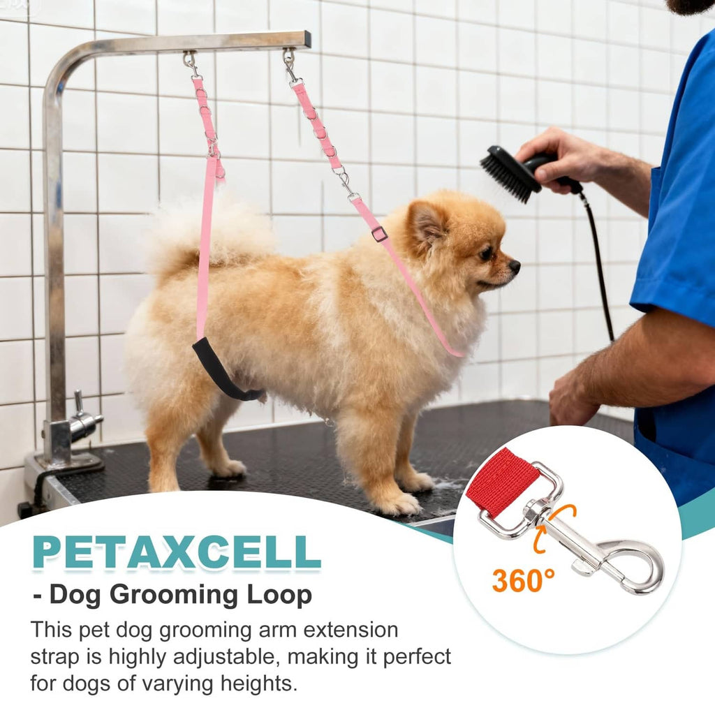 Dog grooming loop attachment on a small dog during brushing, with metal snap hooks