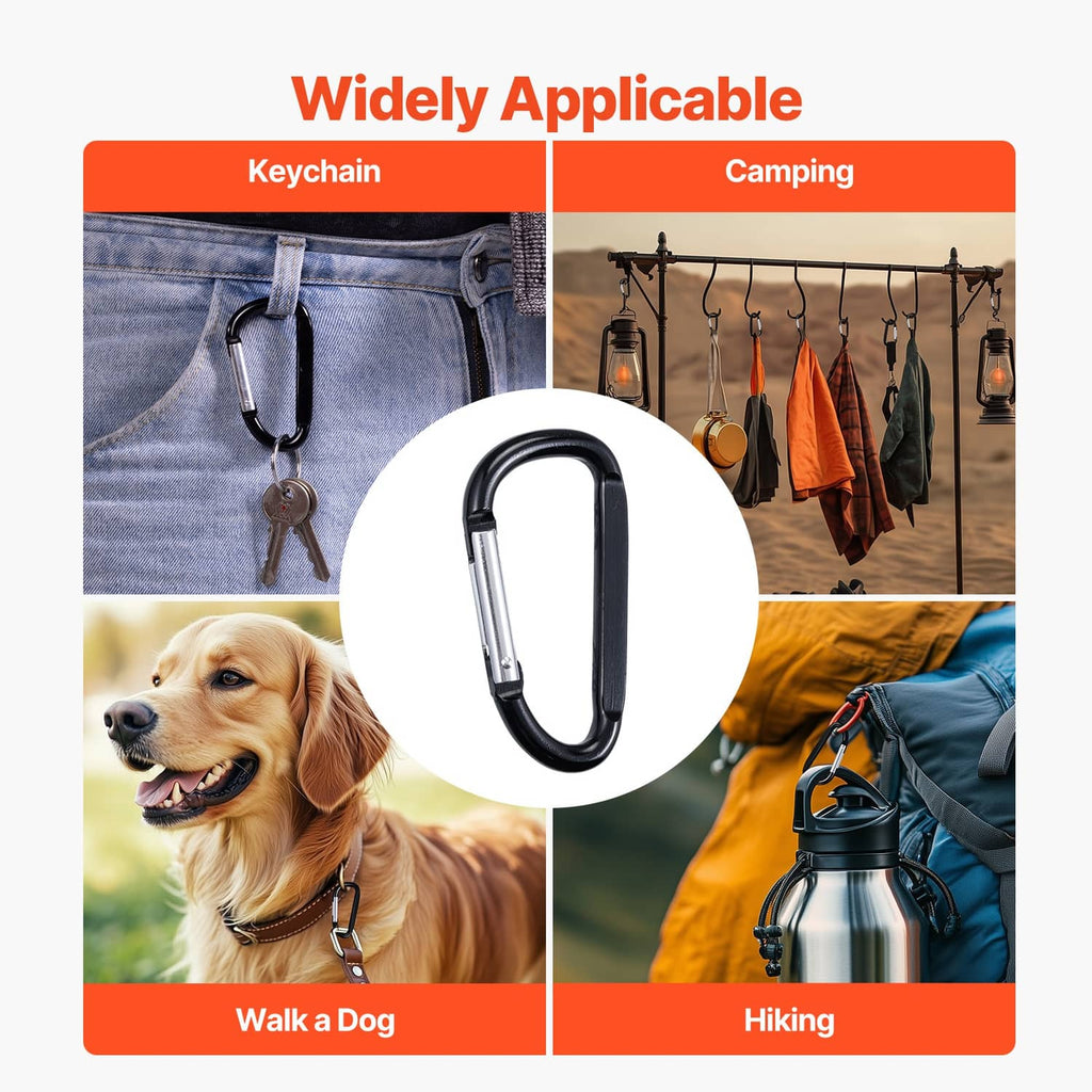 Black spring clip carabiner keyring, shown alone on a product collage background.