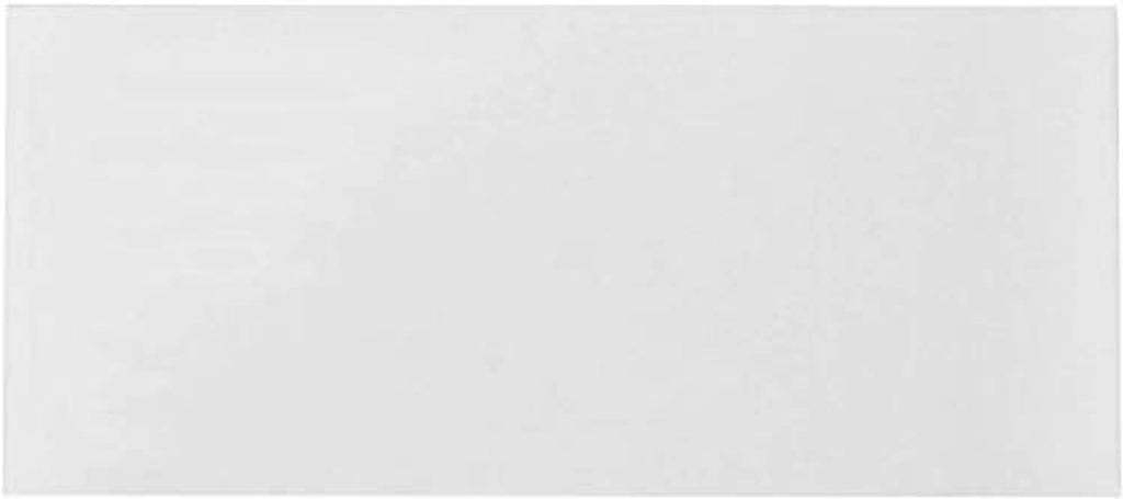 No. 10 security envelope front view, white with gummed closure