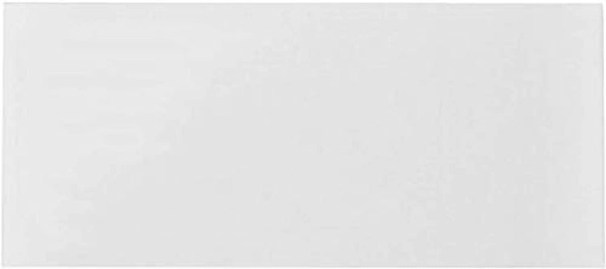 No. 10 security envelope front view, white with gummed closure