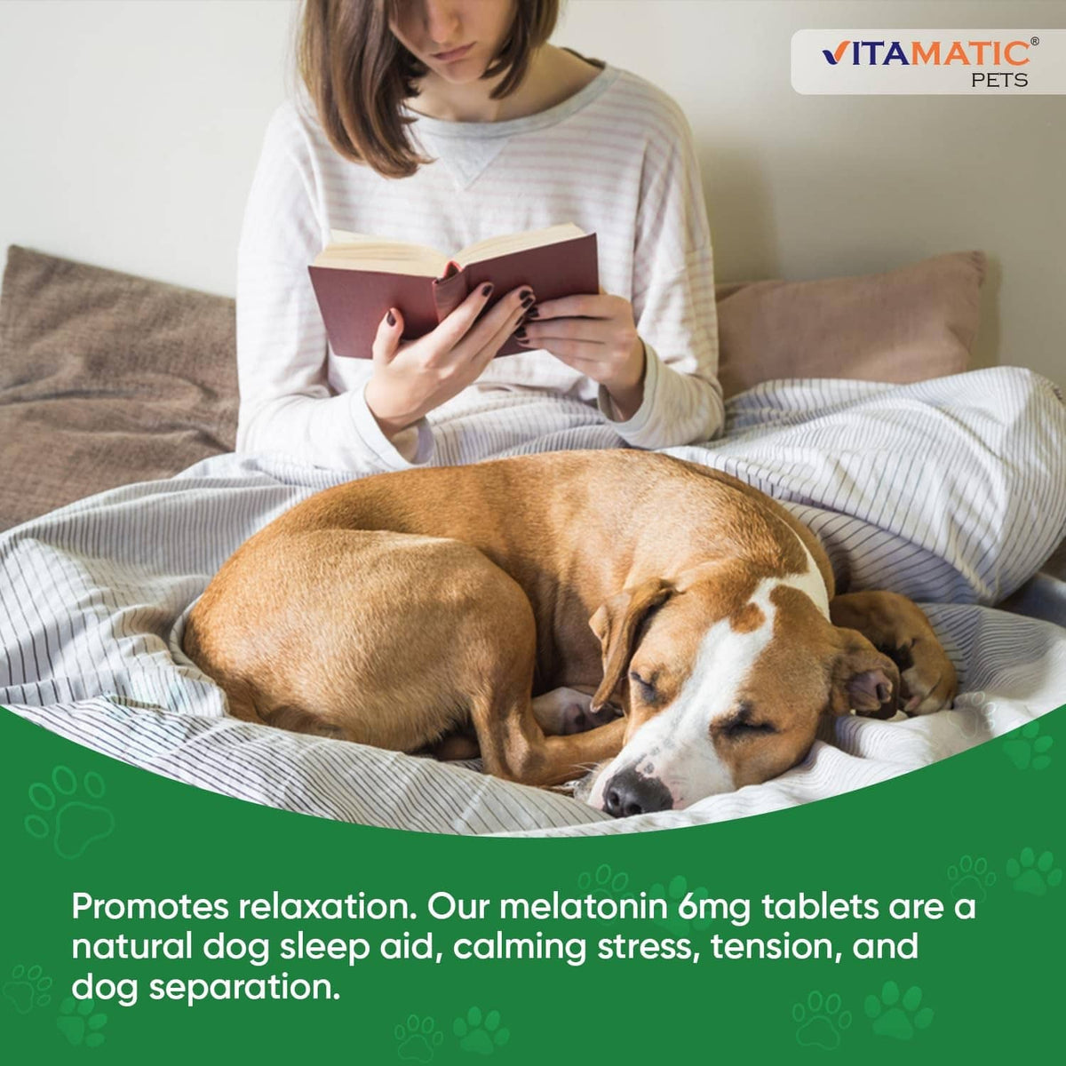 Beef-flavored melatonin chewable tablets for dogs, shown with resting dog