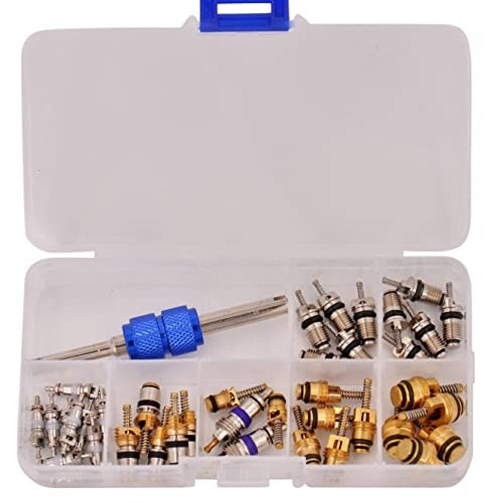 Open A/C valve core kit case with blue core remover tool and brass/silver valves