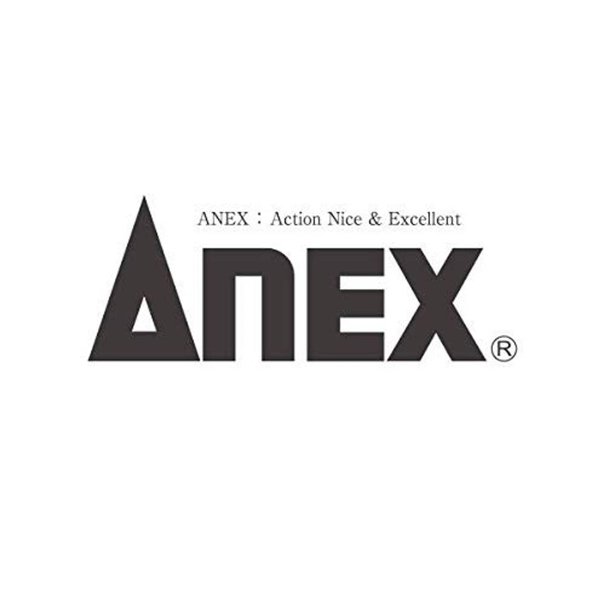ANEX brand logo
