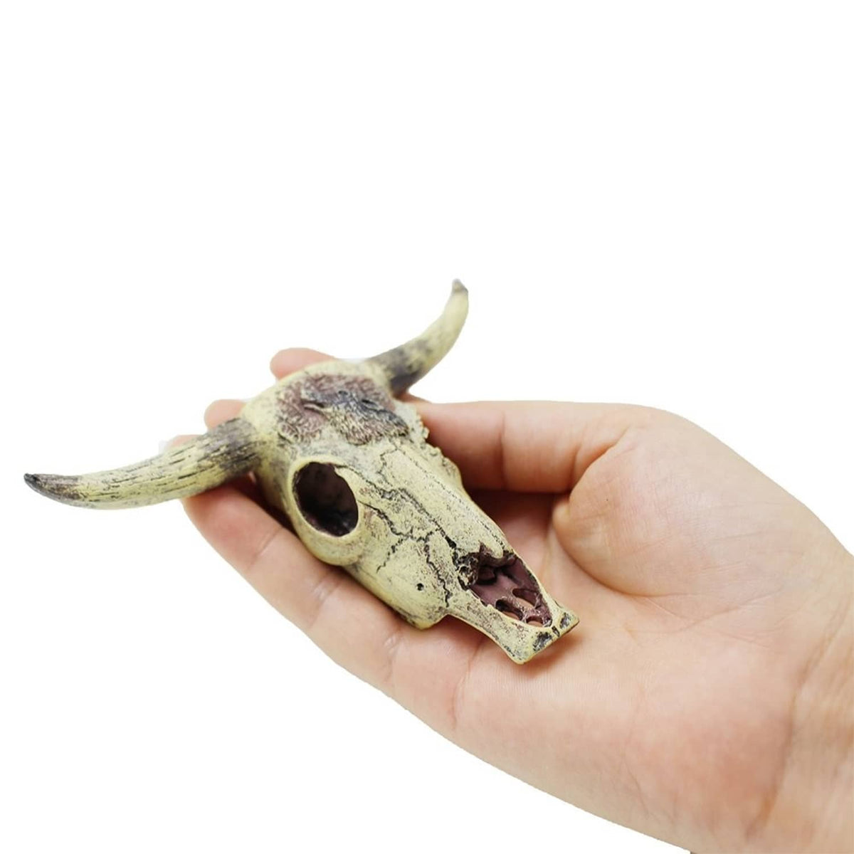 Aquarium skull ornament held in hand, showing textured surface and oval opening