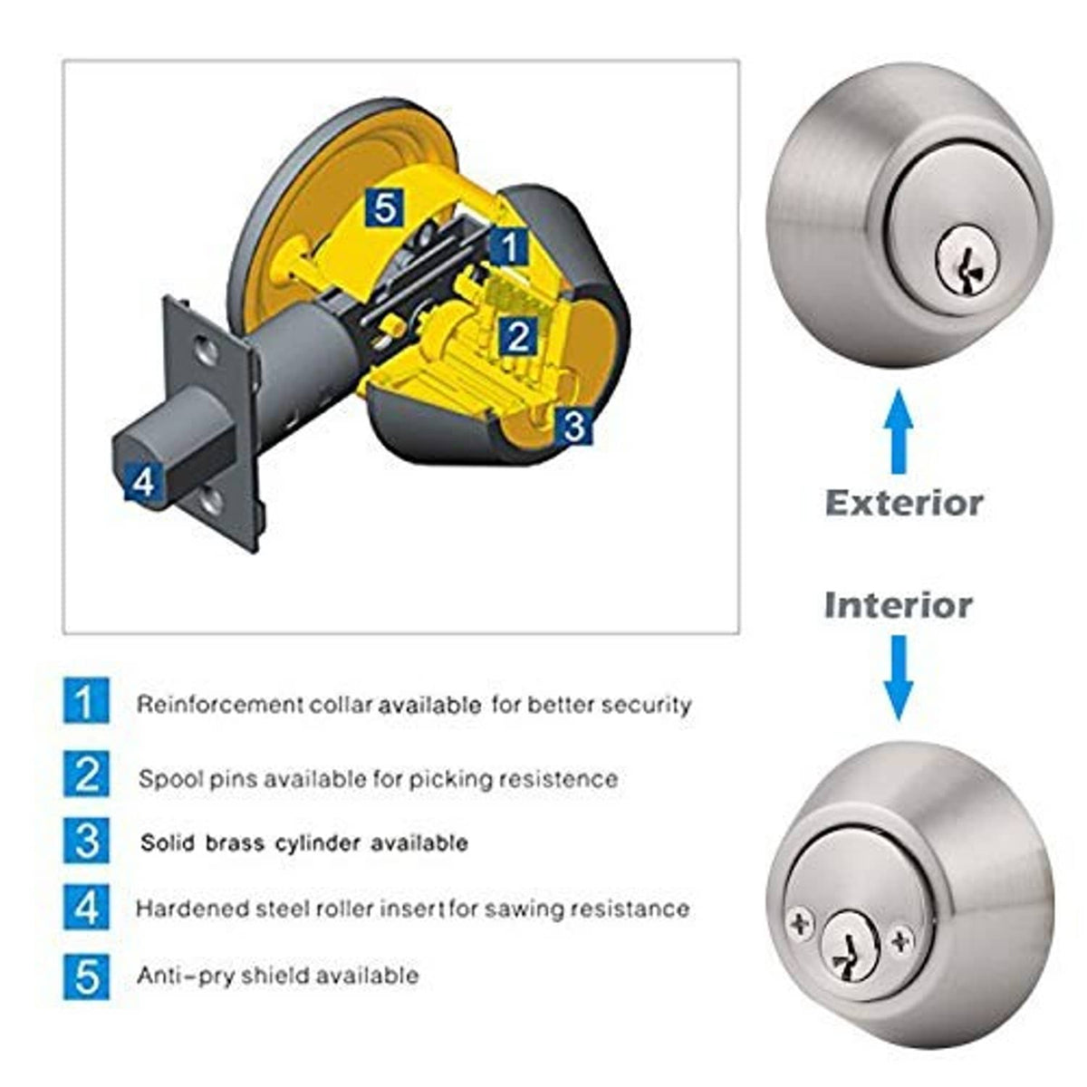 Double-cylinder deadbolt internal parts diagram with cylinder and anti-pry shield