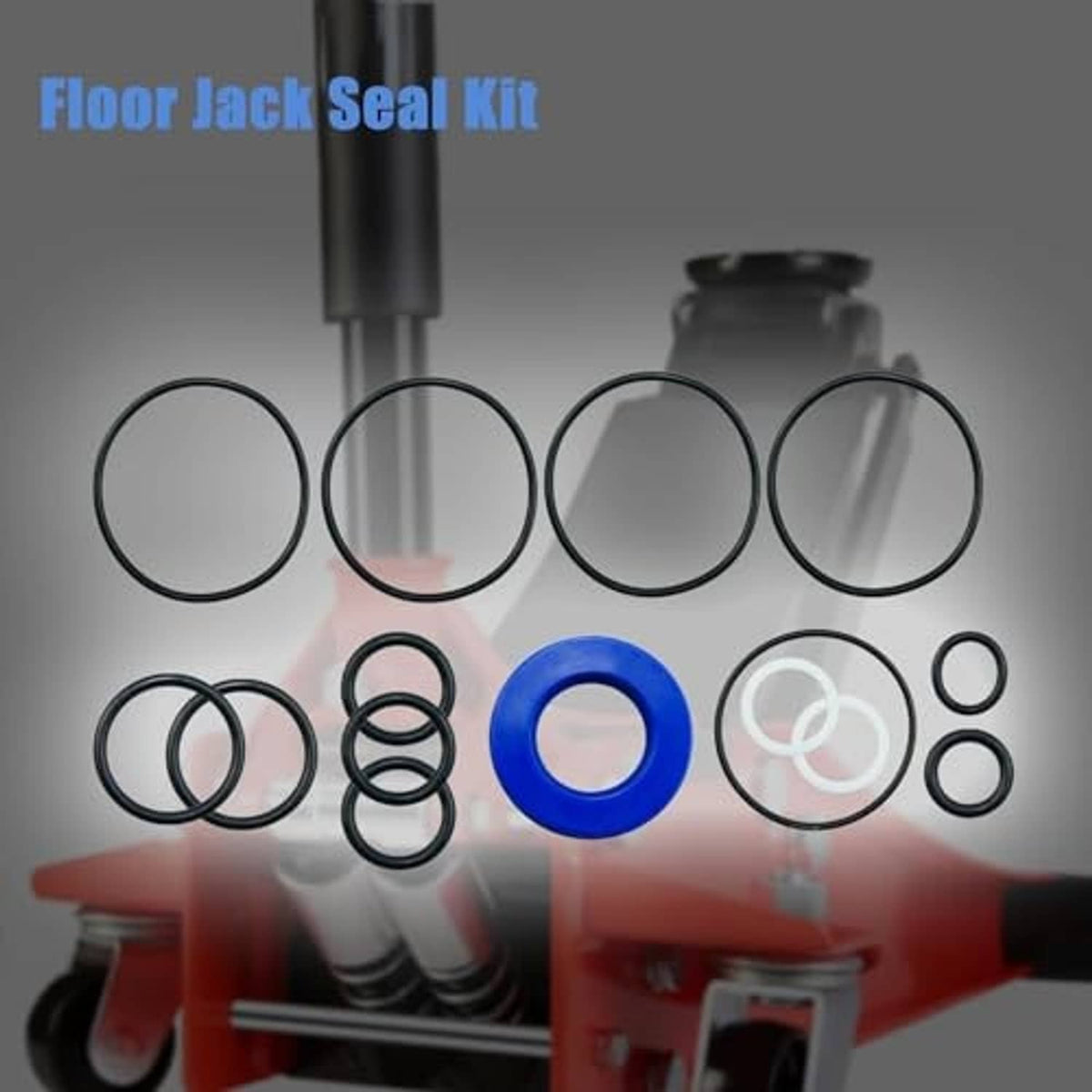 Floor jack seal replacement kit with assorted black O-rings and one blue seal
