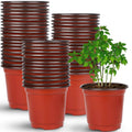 Stack of red plastic seedling nursery pots with small green plants inside