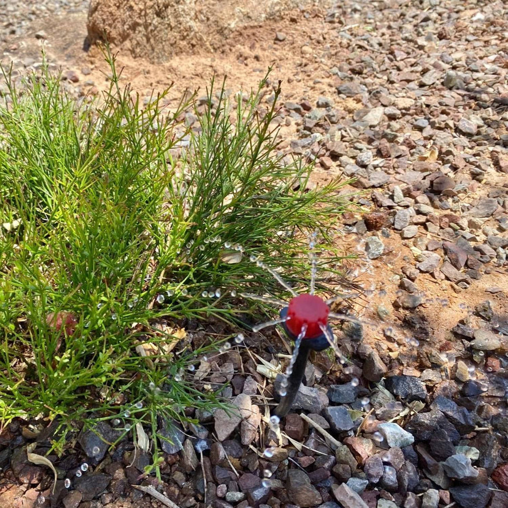 Small red drip emitter on black stake directing water over gravel soil