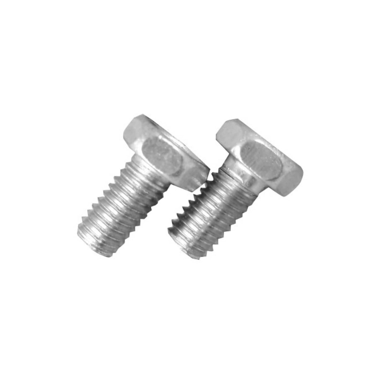 Pair of silver mounting screws for drain elbow kit