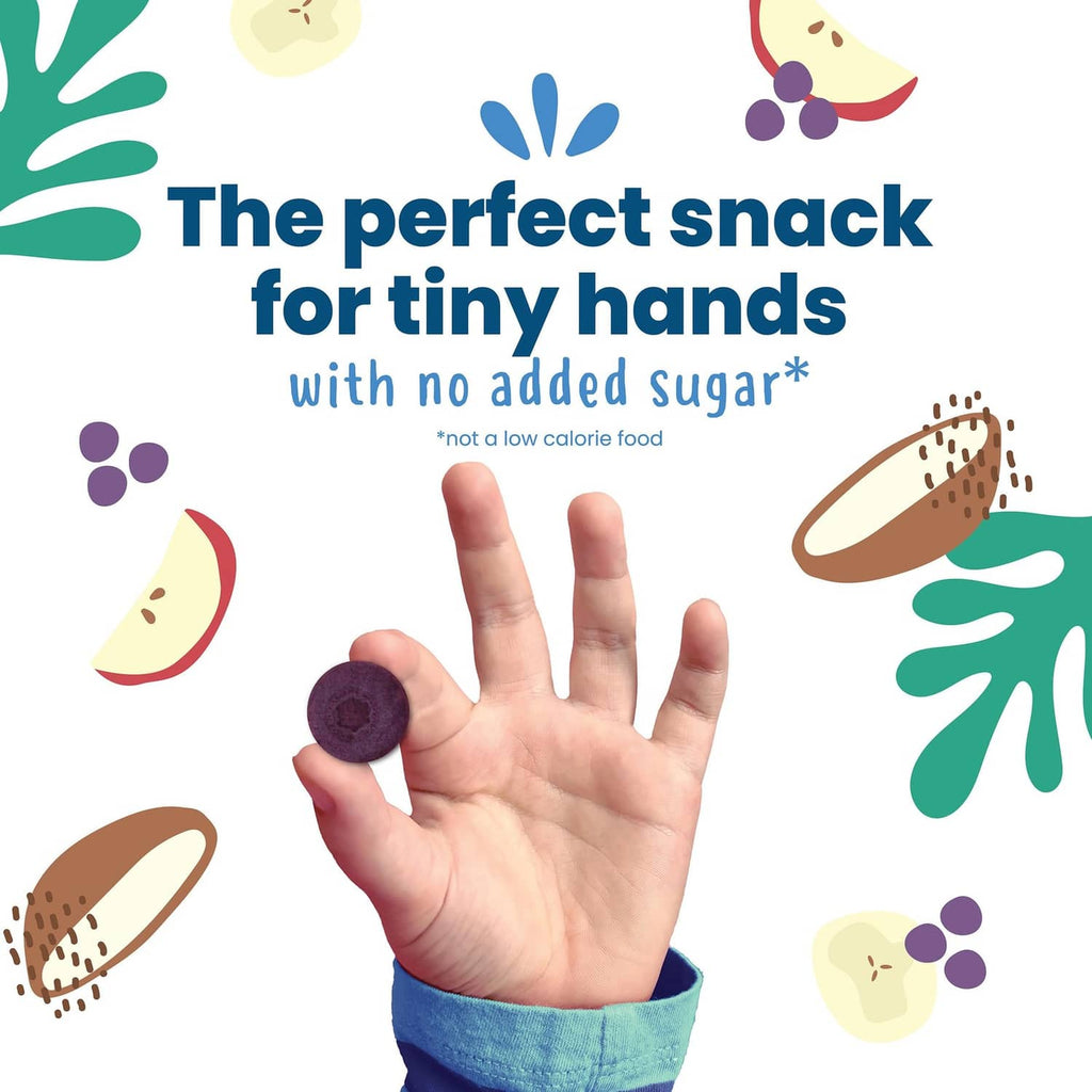 Blueberry Fruit Bites snack rounds in an open child hand