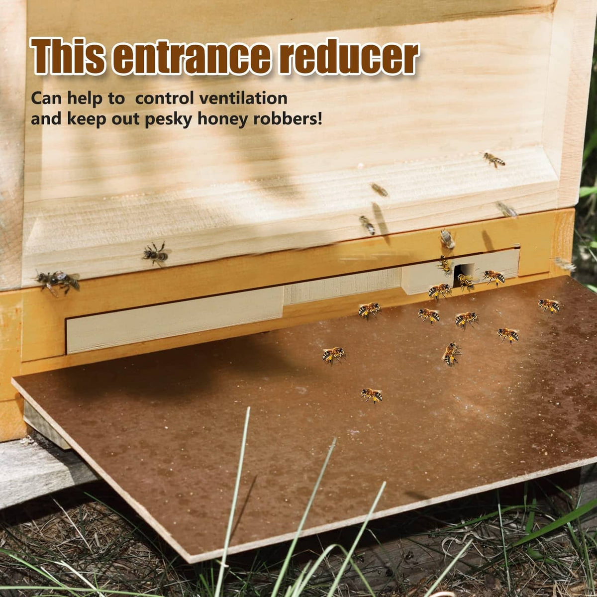 Wooden beehive entrance reducer installed at hive front, with narrow entry opening
