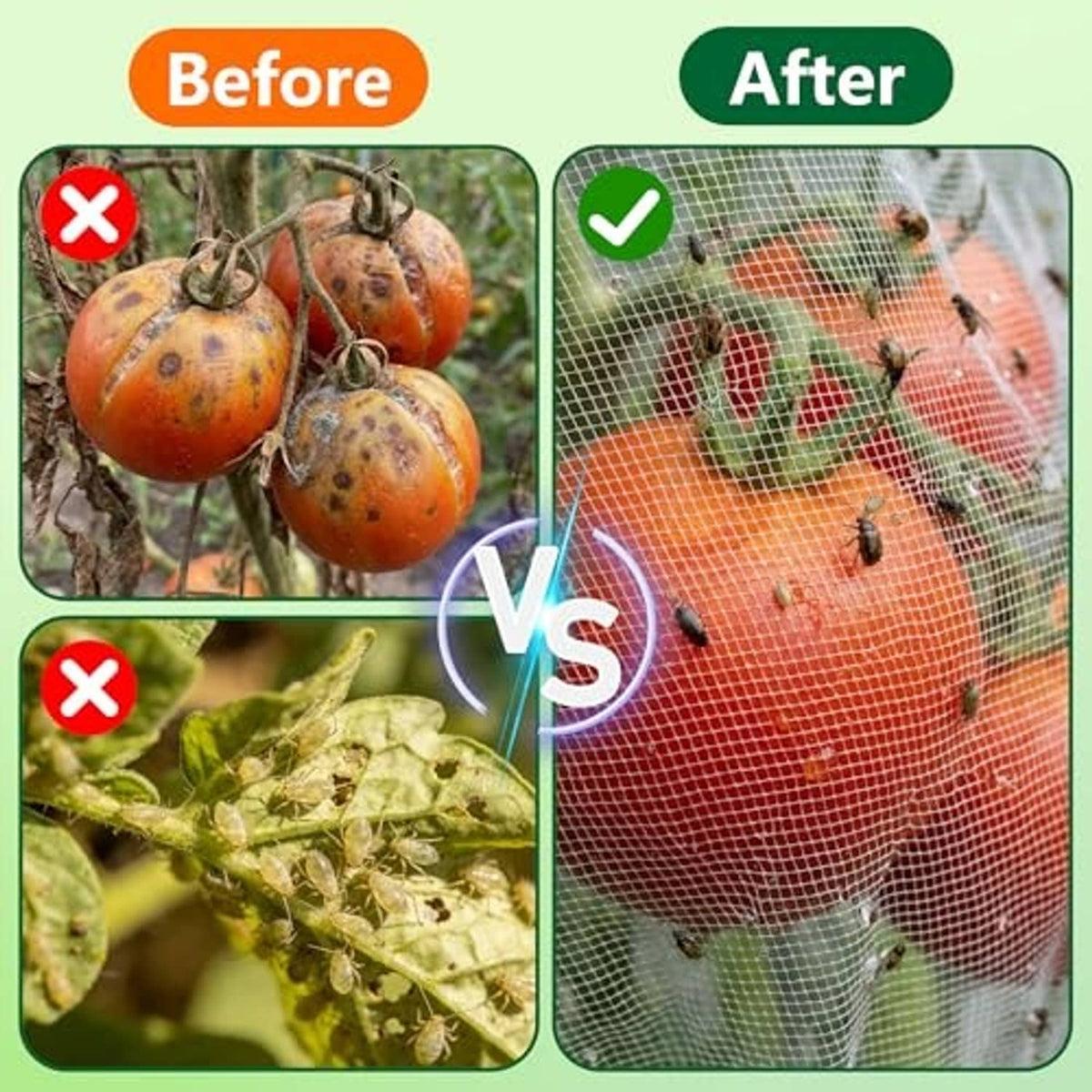 White mesh bird netting cover helping protect tomatoes and plants from insects