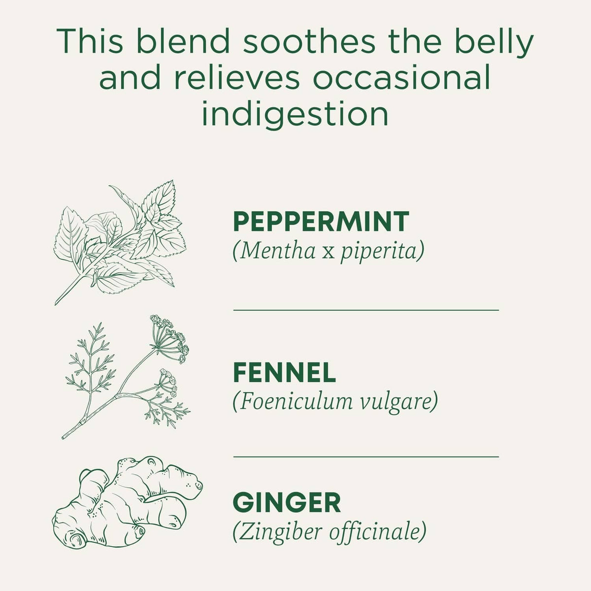 Herbal tea blend ingredient panel listing peppermint, fennel, and ginger