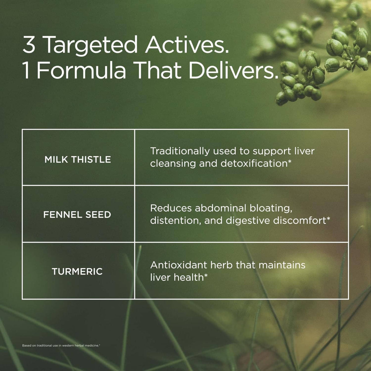 3 targeted actives ingredient panel listing milk thistle, fennel seed, turmeric
