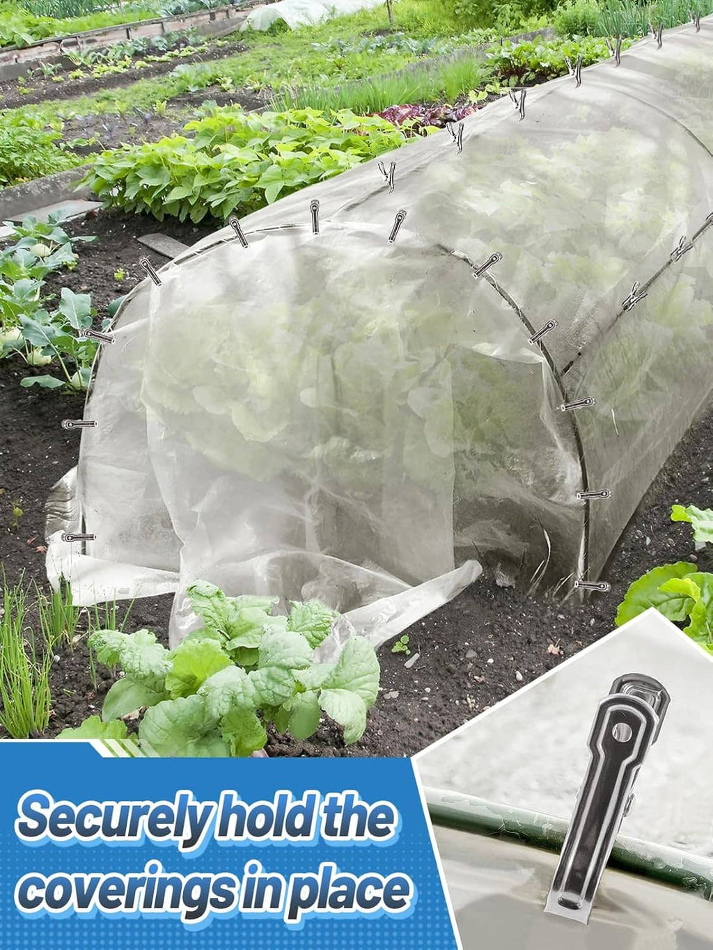 Stainless steel greenhouse clips securing a clear cover to hoop frame.