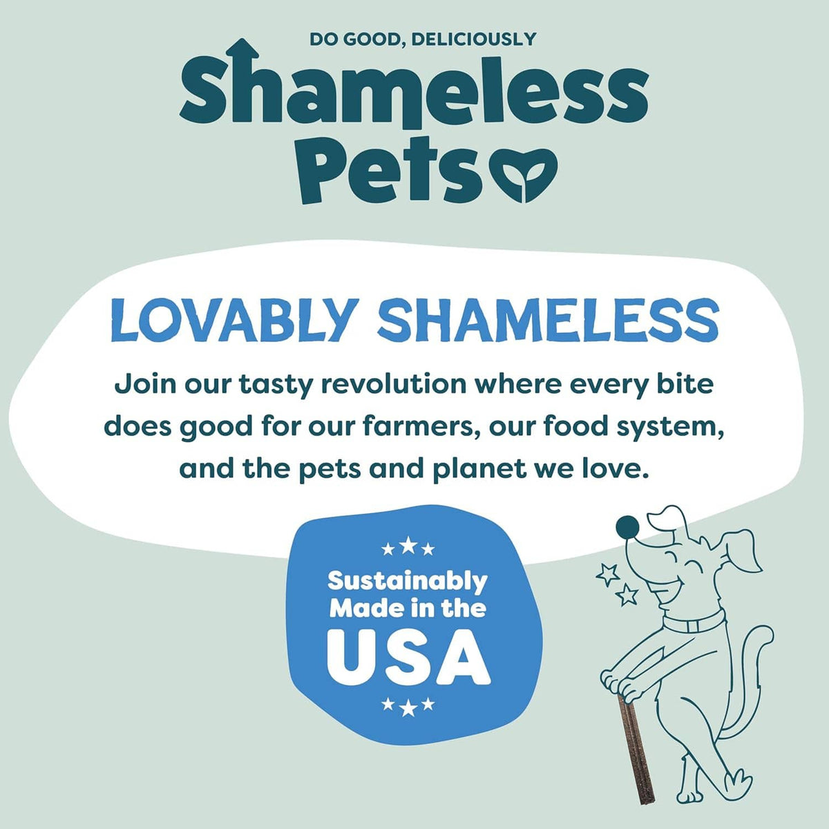 Dog dental chew bag panel with “Shameless Pets” branding and a sustainably made in the USA badge.