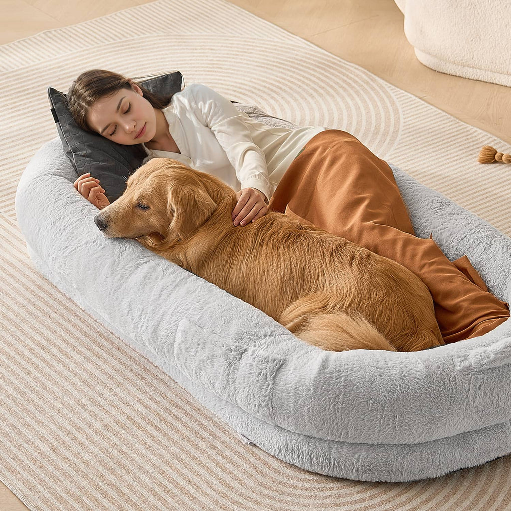 Grey oval dog bed with plush bolster, shown with golden dog lying inside.