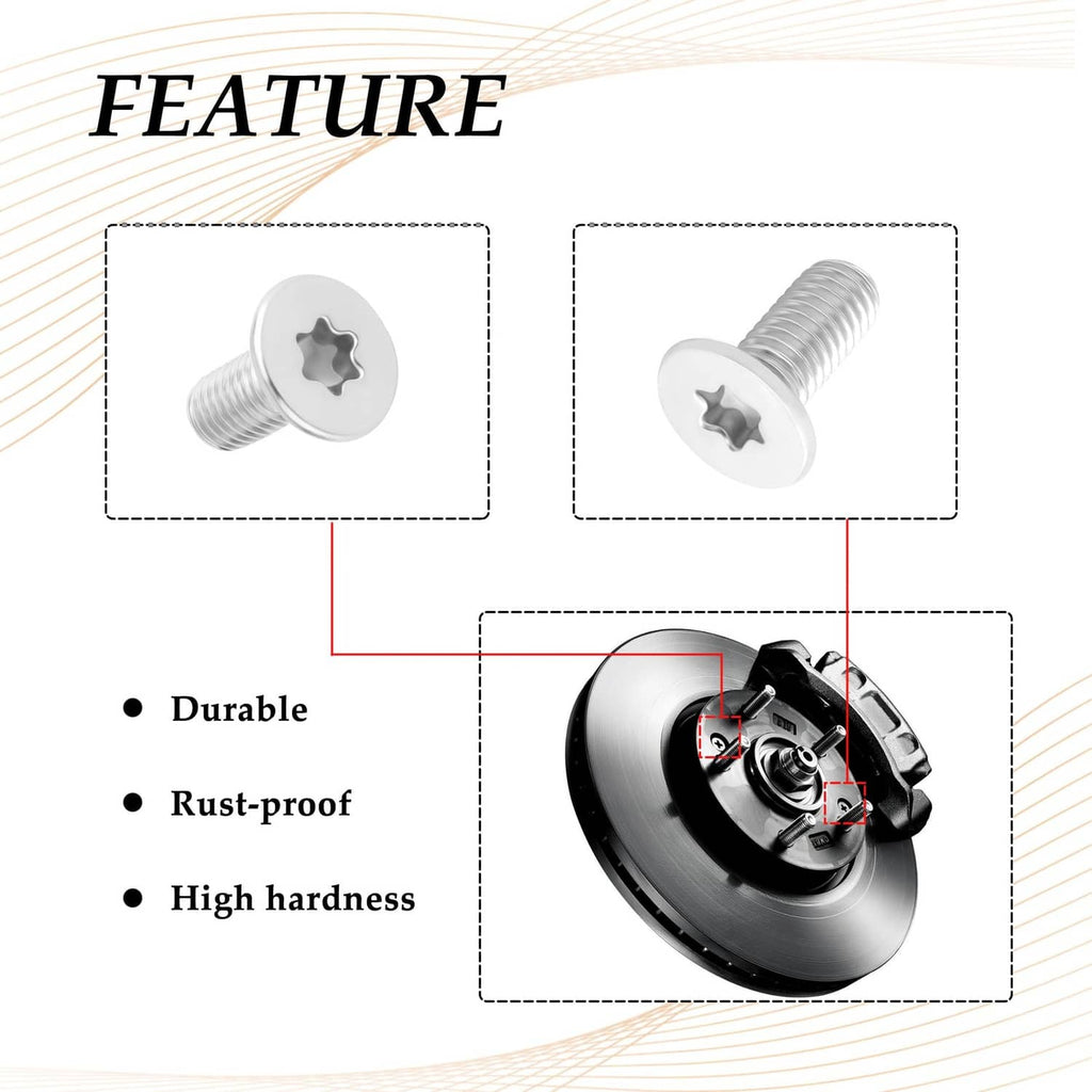 Brake rotor screw detail, silver threaded shank with white star drive head
