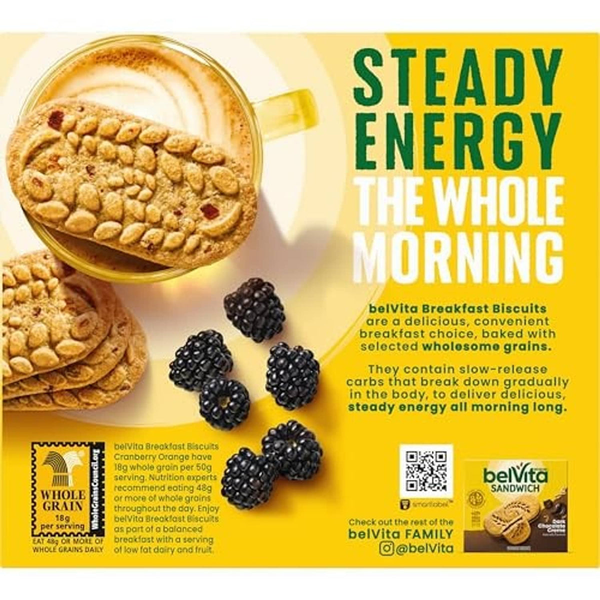 BelVita Crunchy breakfast biscuits back panel with berries and steady energy text