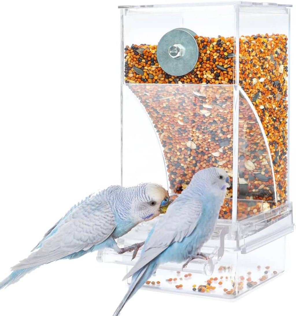 Clear automatic cage bird feeder with mixed seed hopper, round dispenser, two budgies