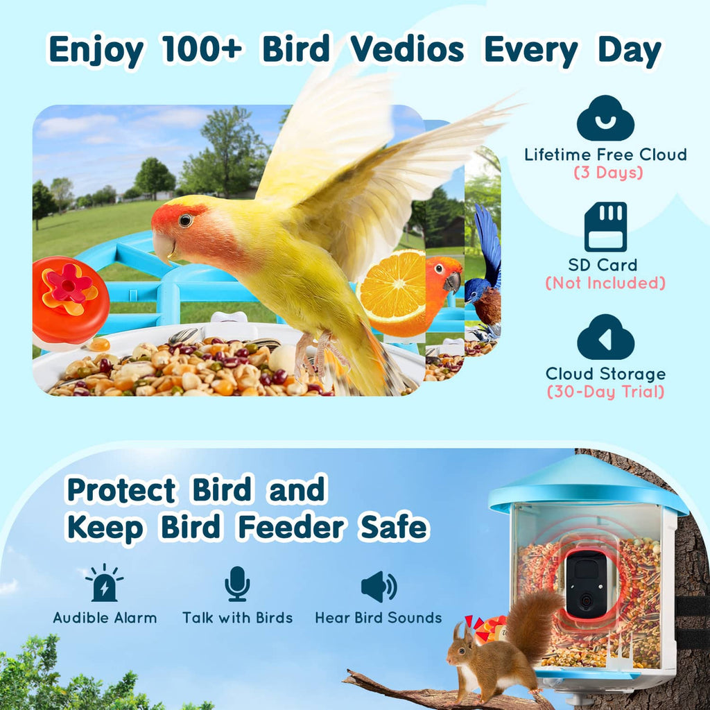 Smart bird feeder with blue roof and seed tray featuring a built-in camera module