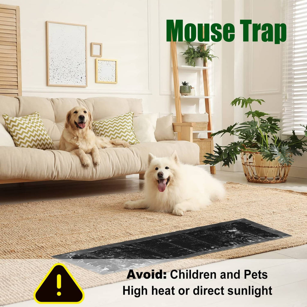Black sticky mouse trap mat on floor near pets