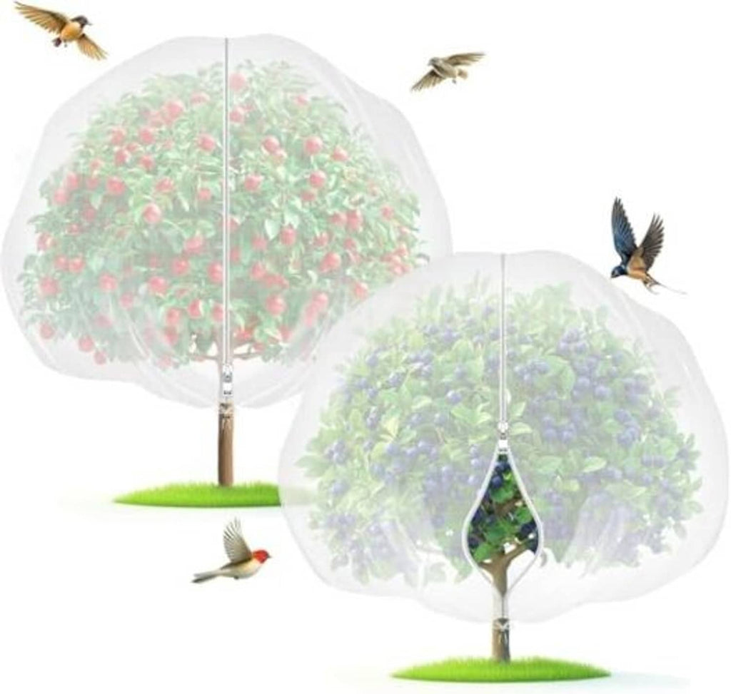 Dome fruit tree netting bag with zipper opening and drawstring, covering a small tree