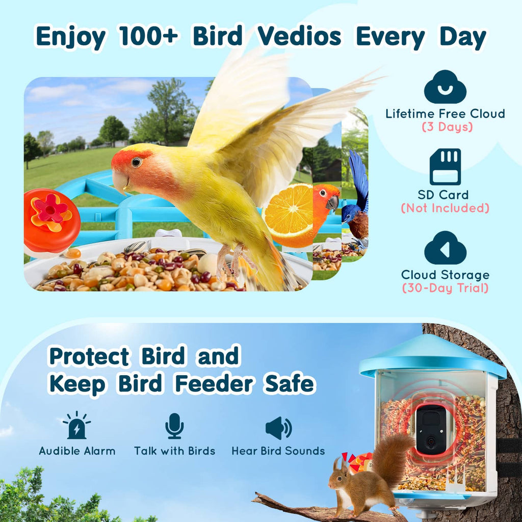 Blue-roof smart bird feeder with built-in camera and feeding tray for seed and birds.