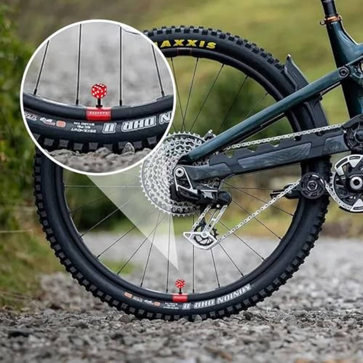 Mountain bike wheel close-up with red dice-style tire valve stem cap on rim.