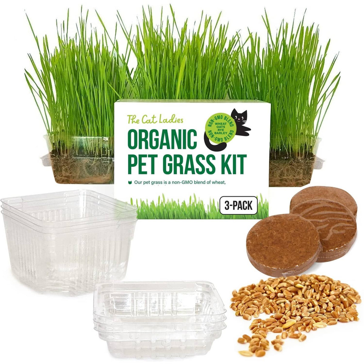 Cat grass growing kit with green sprouts, organic kit box, clear planters, and seeds