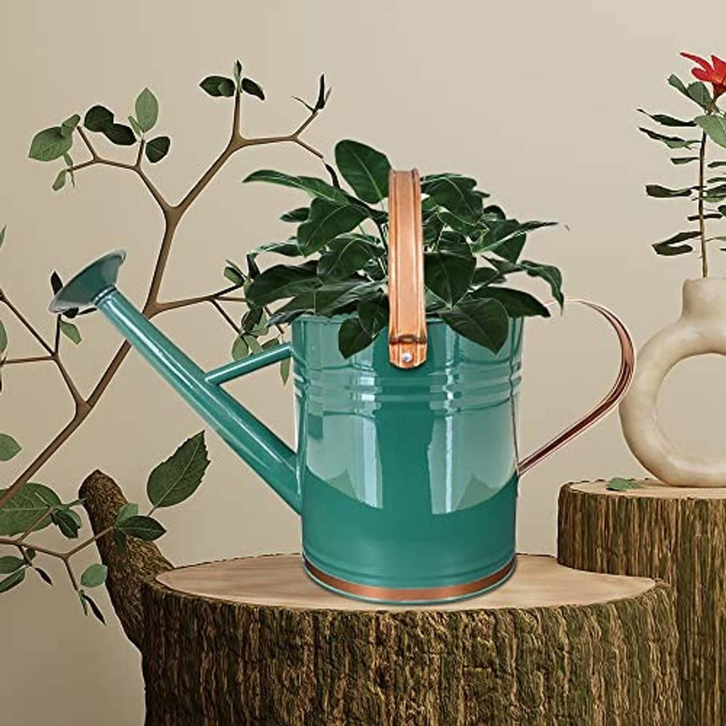Teal metal watering can with long spout, rose head, and copper-tone handle for plants