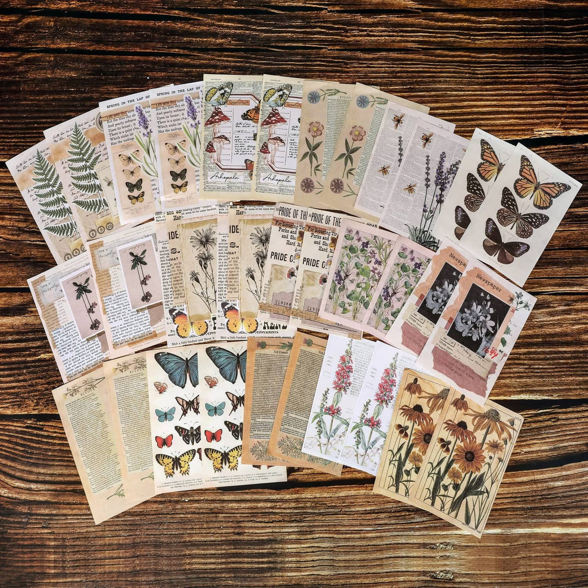 Vintage scrapbook papers assortment with butterflies, plants, mushrooms, and floral borders