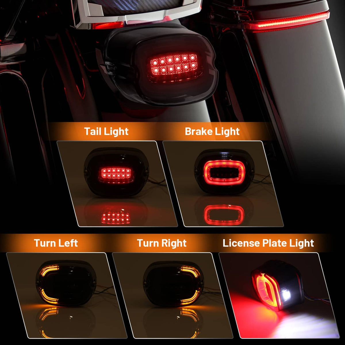 Tail light, brake light, turn signals, and license plate light LEDs, all illuminated