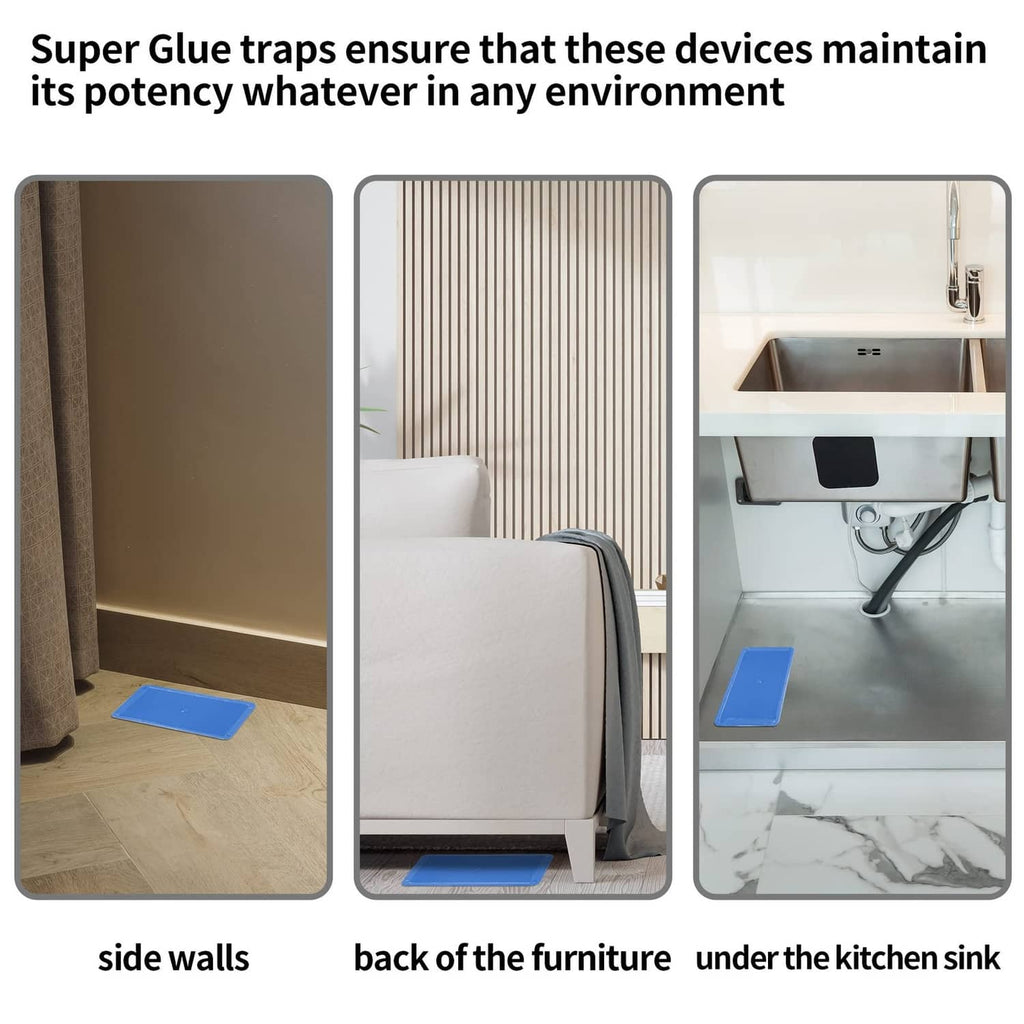 Black mouse glue traps positioned along furniture edges and under kitchen sink area