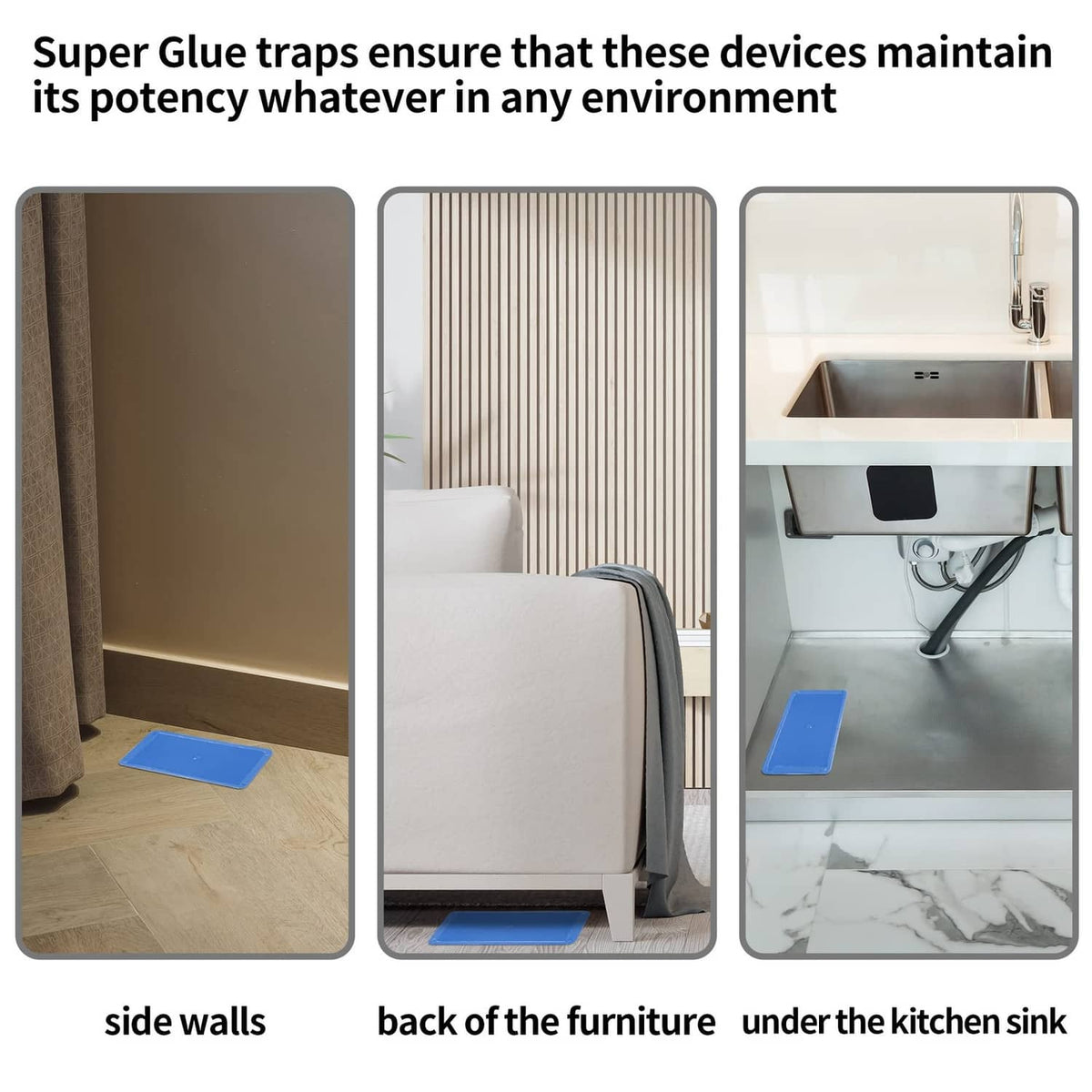 Black mouse glue traps positioned along furniture edges and under kitchen sink area
