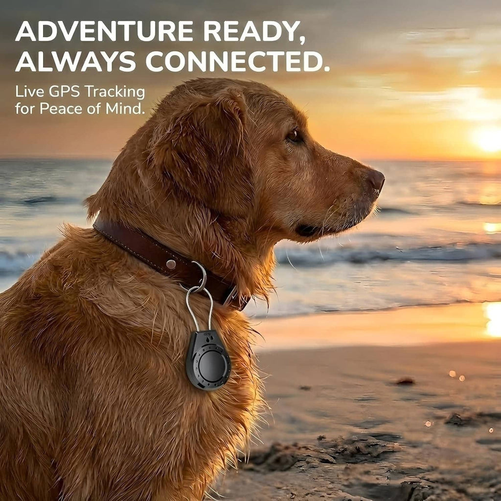 Black waterproof lockable AirTag holder on dog collar, key ring and cable